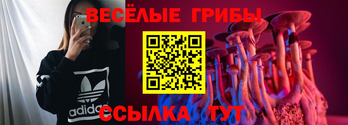 Кизилюрт  Галлюциногенные грибы прущие грибы  Псилоцибиновые грибы Psilocybe  Вход с VPN 